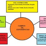 História local e BNCC: desafios para o ensino de História nos anos finais do ensino fundamental.